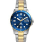 FOSSIL Dive Analog Watch for Men FS6034