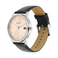 Titan Neo Beige Dial Analog with Date Leather Strap watch for Men NN1836SL01 (DK306)