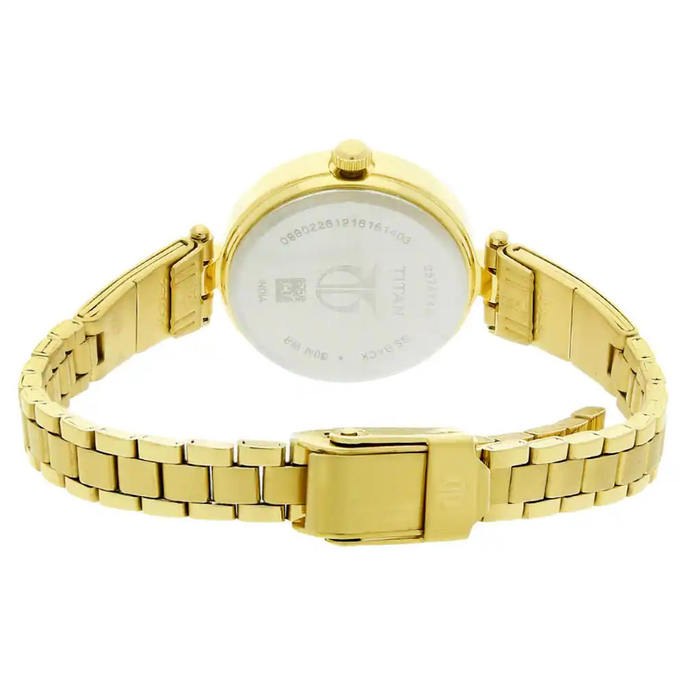 Champagne Dial Golden Stainless Steel Strap Watch NP2574YM01 (DG443)