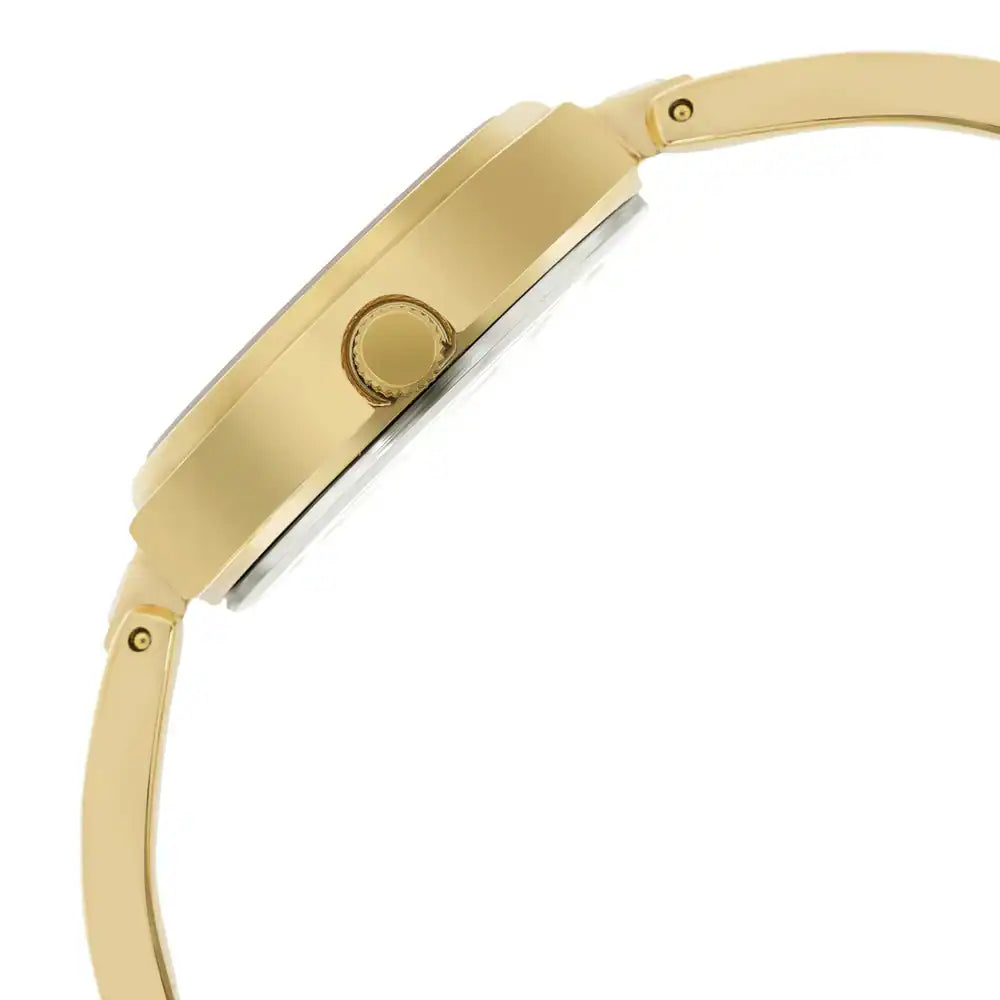 TITAN Champagne Dial Golden Metal Strap Watch 2601YM02(DH416)