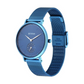 Titan Slimline Blue Dial Analog Stainless Steel Strap watch for Women 95142QM01