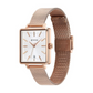 Titan Minimalists Quartz Analog with Date Silver Dial Rose Gold Stainless Steel Strap Watch for Women 94205WM01 / NS94205WM01