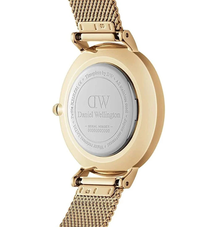 DANIEL WELLINGTON Petite Evergold Watch for Women DW00100347