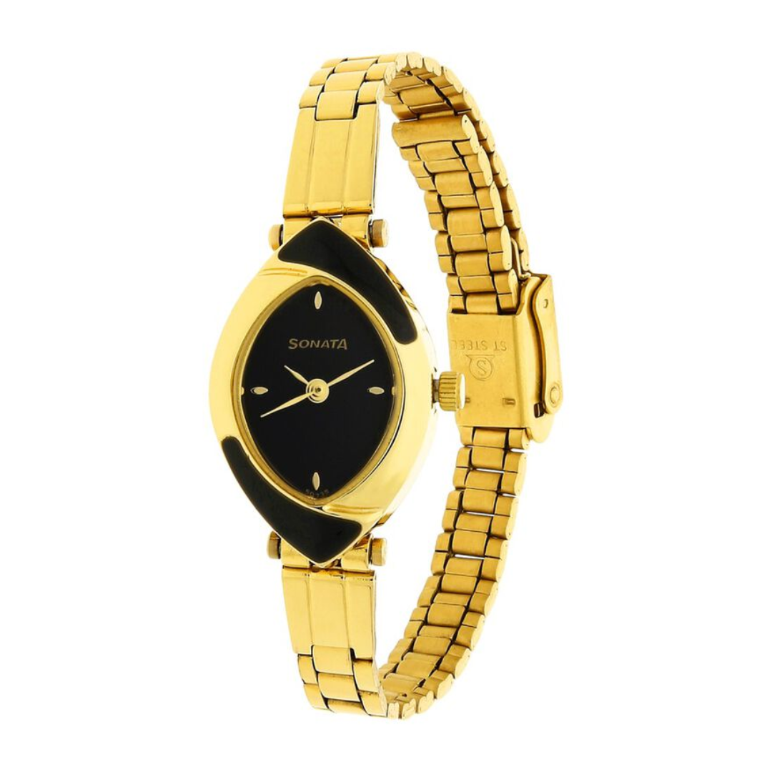 Black Dial Golden Stainless Steel Strap Watch NR8069YM04