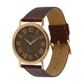 Titan Quartz Analog Brown Dial Leather Strap Watch for Men 1595WL03