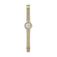 Lady Hampton Analog Watch for Women AX5274