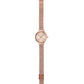 EMPORIO ARMANI AR11512 Analog Watch for Women