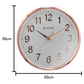 Titan Classic White Metallic Finish Wall Clock with Silent Sweep Technology - 30 cm x 30 cm (Medium) NCW0001PA02A