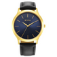 TITAN Karishma Radiance Blue Dial Analog Watch 1825YL05 / NS1825YL05