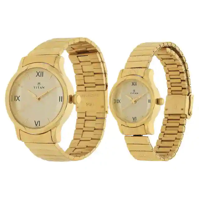 Titan Champagne Dial Golden Metal Strap Watches NP15802490YM02