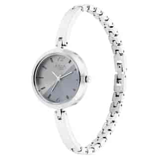 Titan Raga Viva Silver Dial Metal Strap Watch 2606SM05 (DK855)