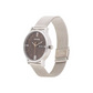 Knot Brown Dial Stainless Steel Strap Watch For Men NR77105SM05