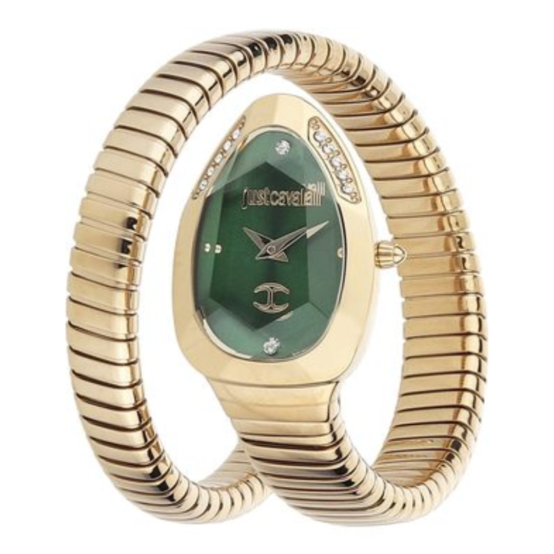 JUST CAVALLI JC1L208M0045 Analog Watch for Women