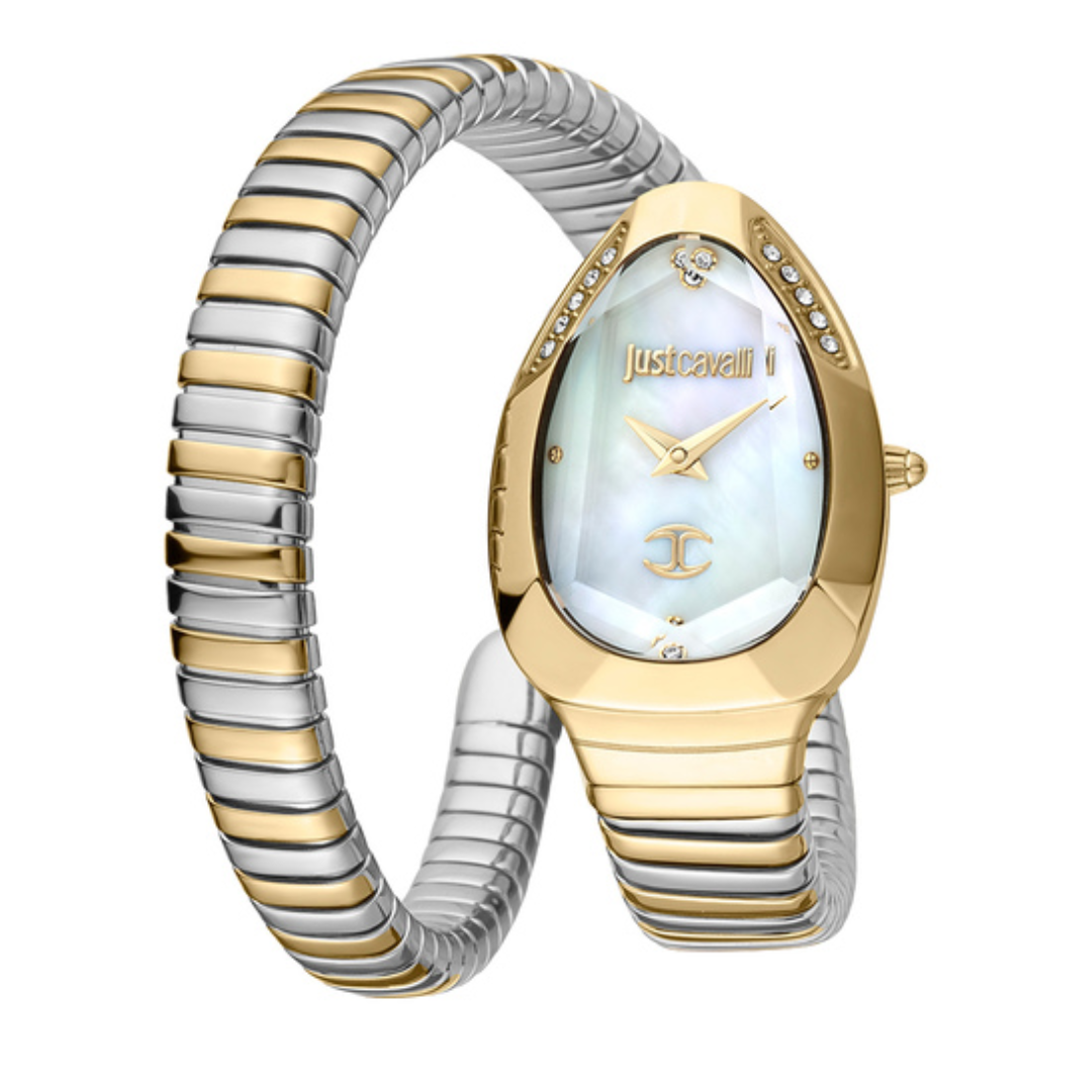 JUST CAVALLI JC1L208M0065 Analog Watch for Women